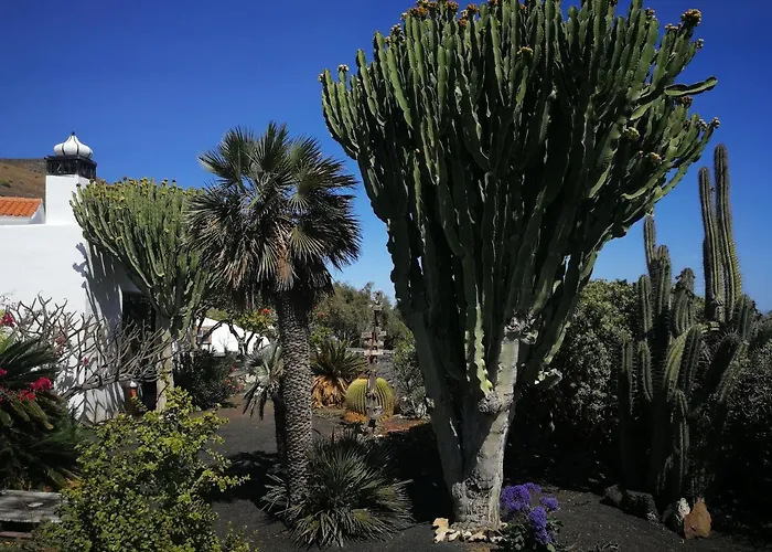 Alojamento de Turismo Selvagem Casa Angel Mácher
